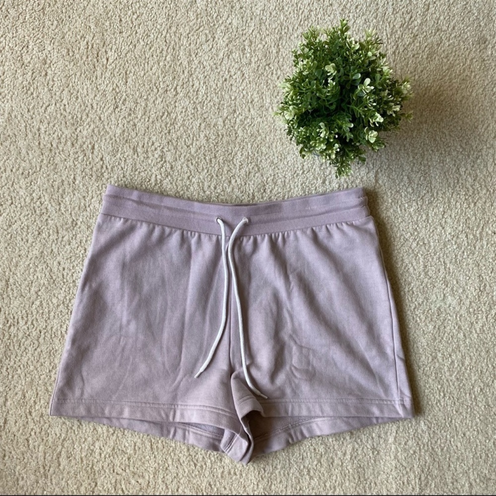 Mauve aritizia shorts